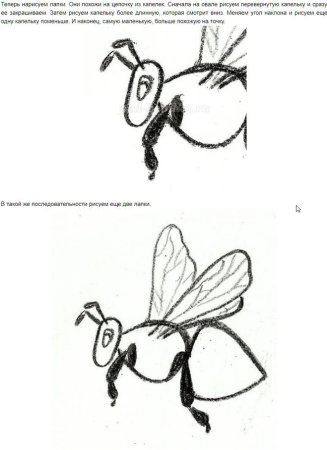 Рисование пчелы в старшей группе