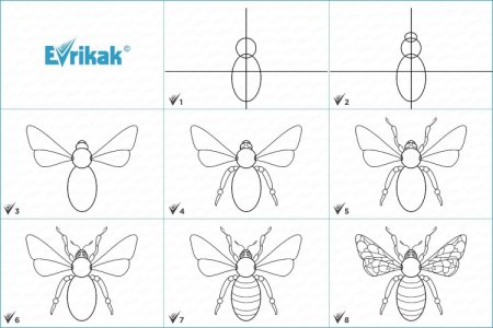 Поэтапное рисование насекомых
