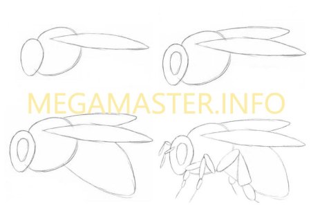 Поэтапное рисование насекомых