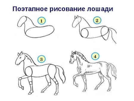 Как нарисовать коня поэтапно