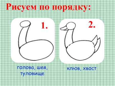 Рисование гуся