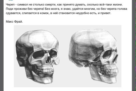 Последовательность рисования черепа
