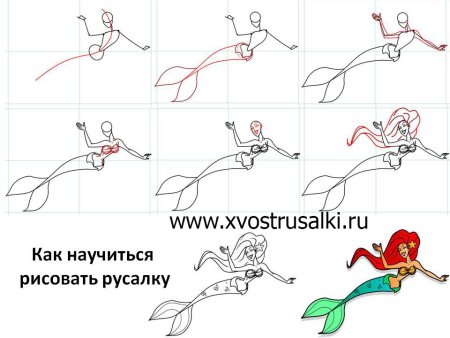 Муха поэтапное рисование