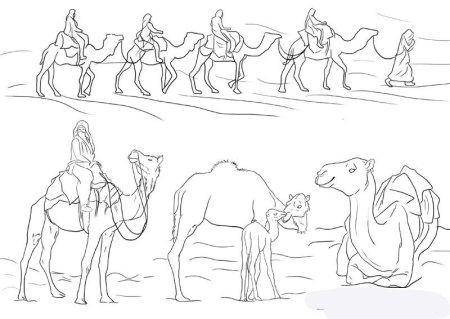 Верблюд рисунок 4 класс