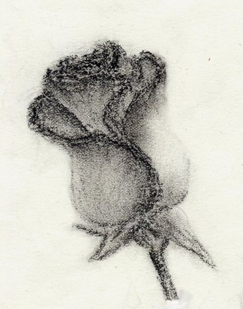 Рисунок углем легкий