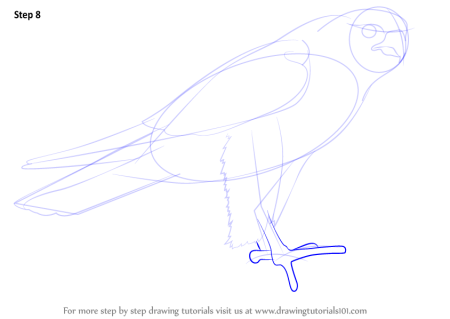 Сапсан нарисовать