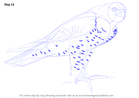 Нарисовать Сапсан карандашом