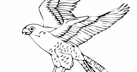 Сапсан разукрашка