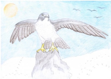 Рисунок к стиху с Поляны Коршун поднялся