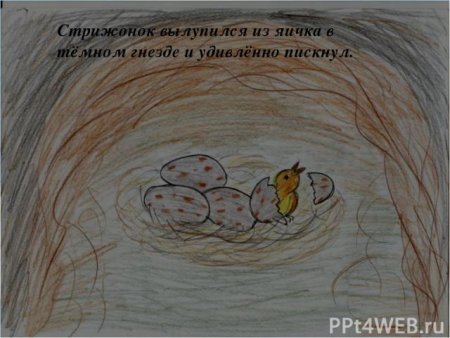 Иллюстрация к рассказу Стрижонок скрип