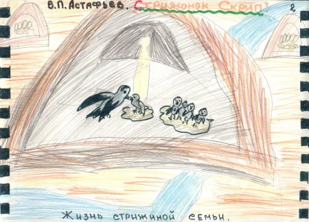 Стрижонок скрип