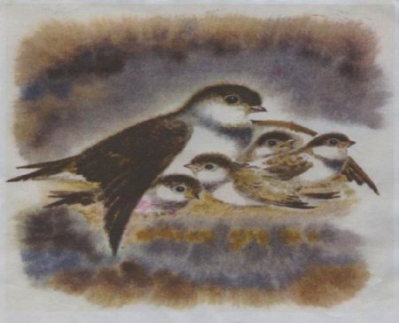 В П Астафьев Стрижонок скрип