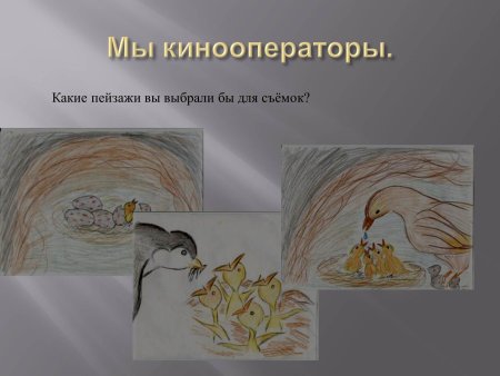 Паустовский Стрижонок скрип