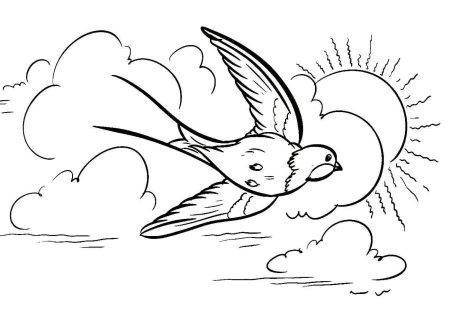 Ласточка раскраска