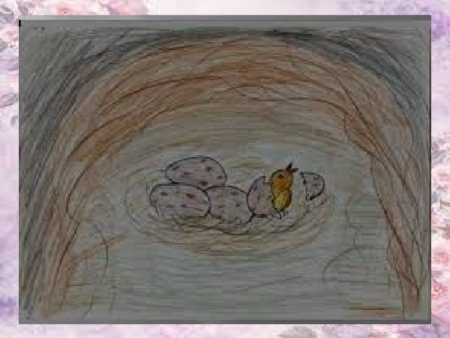 Стрижонок скрип рисунки детей