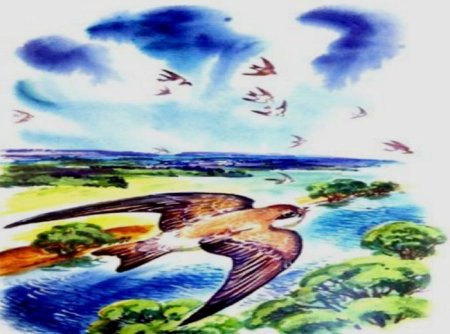 Астафьев Стрижонок скрип раскраска