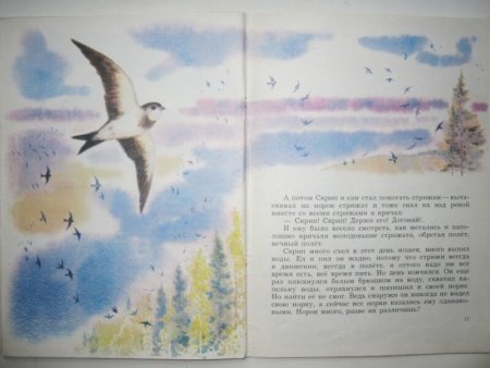 Мамин Сибиряк Стрижонок скрип