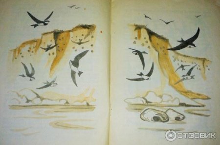 Иллюстрация к читательскому дневнику Стрижонок скрип Астафьев