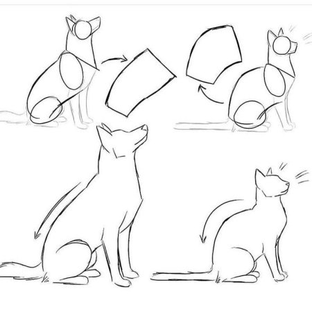 Позы кошек карандашом