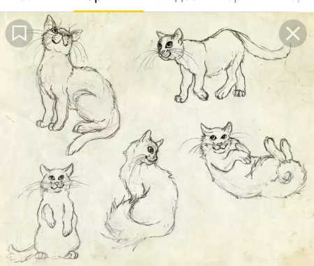 Наброски кошек
