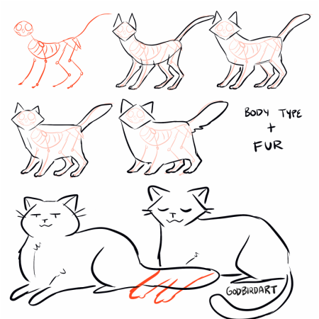 Техника рисования кота