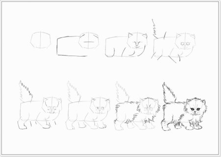 Кошка рисунок карандашом поэтапно