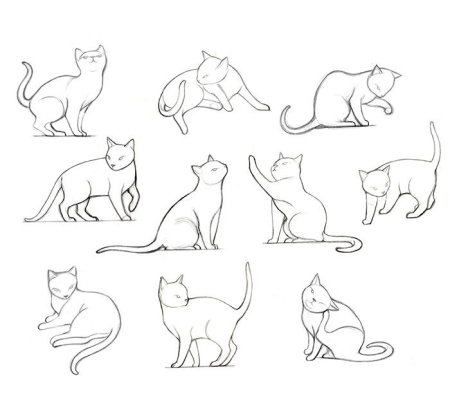 Референс кошек вид сбоку