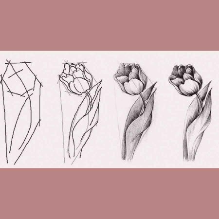 Цветы рисунок карандашом поэтапно