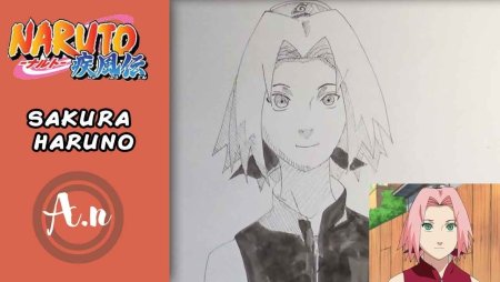 How to draw Sakura