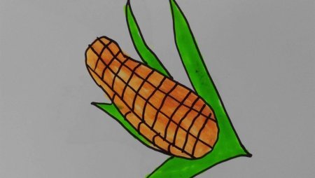 Поэтапное рисование кукурузы