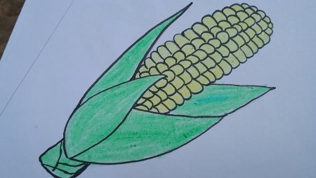 Кукуруза карандашом