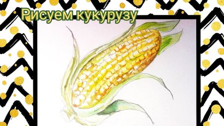 Кукуруза акварелью поэтапно