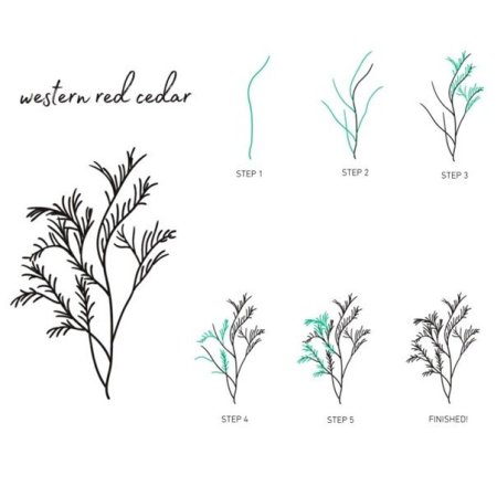 Кусты для рисования