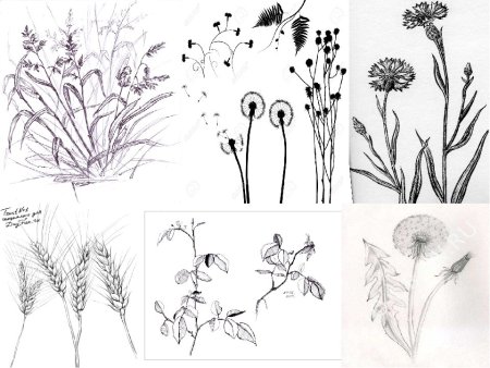 Рисование цветов для детей