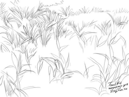 Трава карандашом