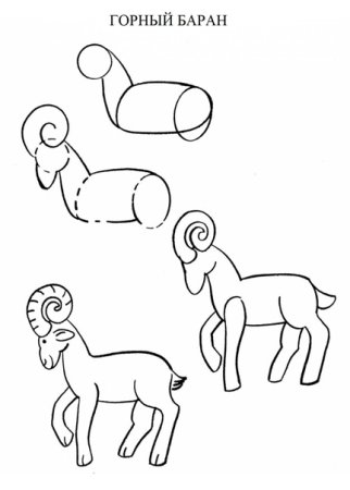 Последовательное рисование животных