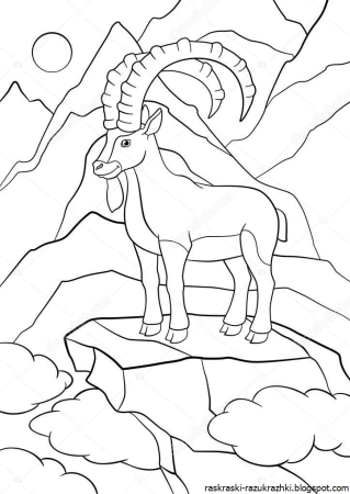 Горный козел раскраска
