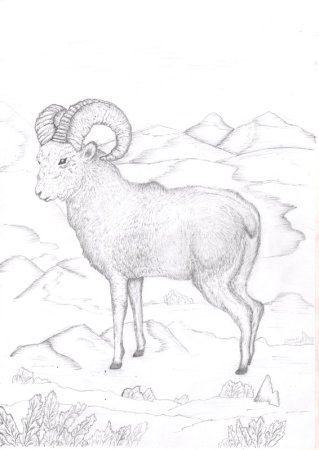 Хетагуров к.л. Джук-тур