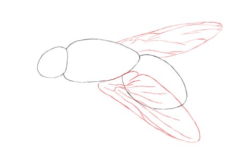 Нарисовать муху для детей