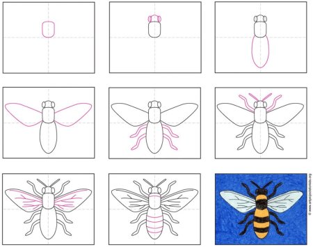 Рисунок комара для детей легкий