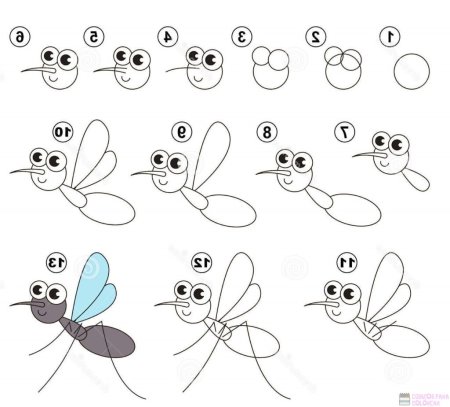 Рисование насекомые