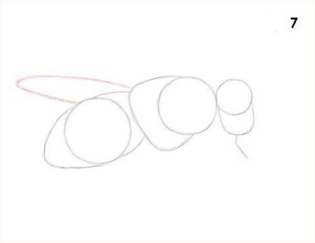 Поэтапное рисование кузнечика