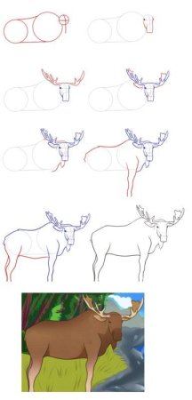 Рисование Лось