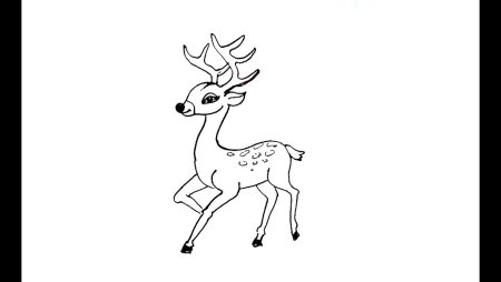 Рисунок оленя по частям
