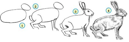 Схема рисования зайца в подготовительной группе