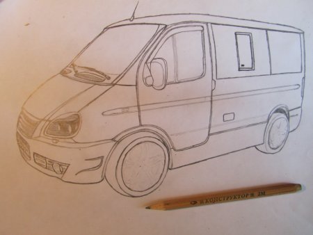 Соболь рисунок карандашом