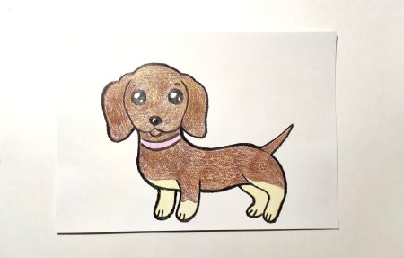 Такса рисунок для детей 1 класса