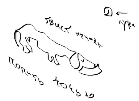 Такса Пикассо рисунок