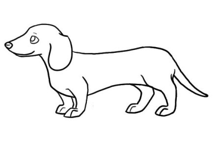 Как нарисовать длинную длинную таксу