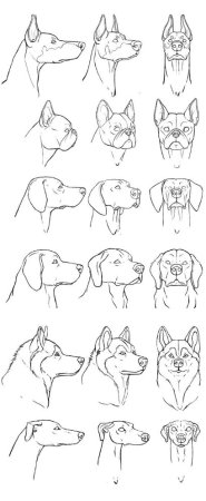 Голова собаки для рисования